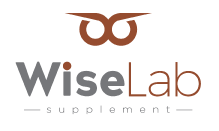 Wiselab